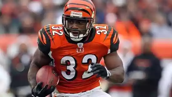 Rudi Johnson, a former running back for the Cincinnati Bengals, died at the age of 45, according to a family member who spoke to TMZ Sports. The former NFL player passed away this week. According to people close to him, he had been struggling with mental health issues and may have been coping with the symptoms of CTE that he “could not overcome.” However, the exact reason of his death has not yet been made public.