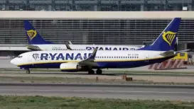 When a Hinge user tried to add some humour to his dating profile, he probably didn't expect Europe's largest airline group to notice