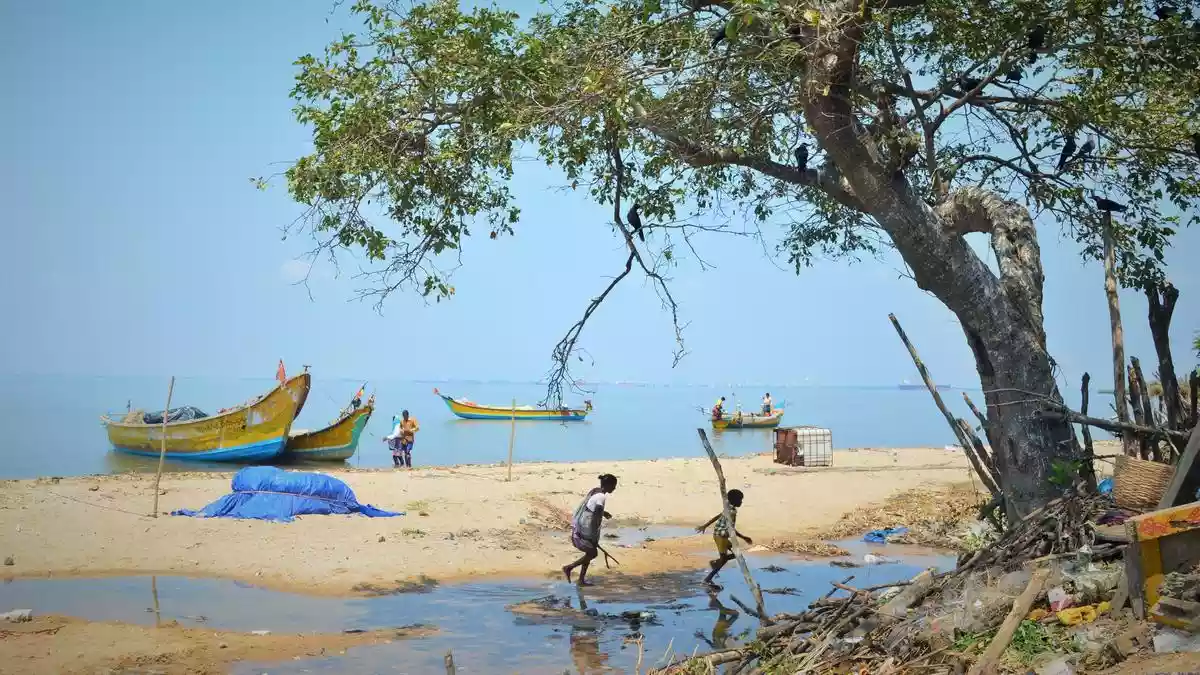 Andhra Pradesh Chief Minister N. Chandrababu Naidu on January 17, 2026 (Saturday) announced that the Andhra Pradesh Government was preparing to develop a