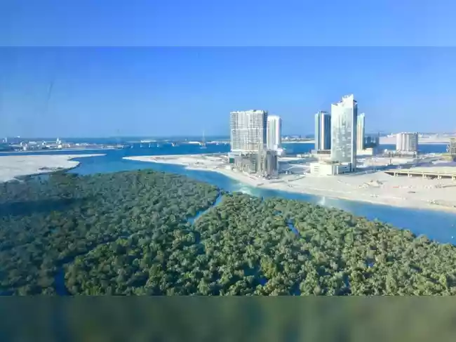 Saudi hosts world's business elite with eyes on gigaprojects