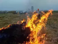 The top court asked the Punjab and Haryana governments to strictly follow the directions of the Commission for Air Quality Management (CAQM) on the issue of