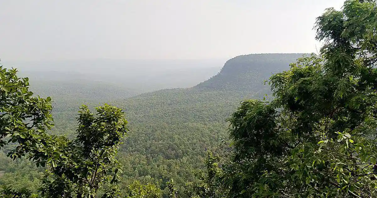 SC must prioritise environmental concerns over ‘corporate waste of money’