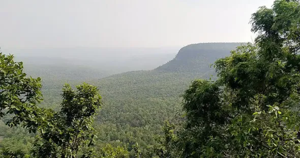 Three orders passed by the Supreme Court in November on environmental matters harm citizens' interests and impede nature conservation in the country