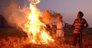 The Supreme Court on Wednesday said it will examine on November 17 whether farmers in Punjab and Haryana were evading satellite surveillance to burn crop