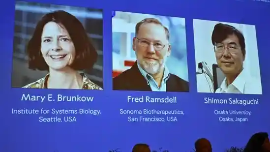 Scientists Mary Brunkow, Fred Ramsdell and Shimon Sakaguchi won the 2025 Nobel Prize in Physiology or Medicine for 