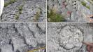 <h4>Did sea turtles flee an earthquake 80 million years ago? Climbers uncover a rare fossil clue</h4><h4>Climbers in Italy stumbled upon