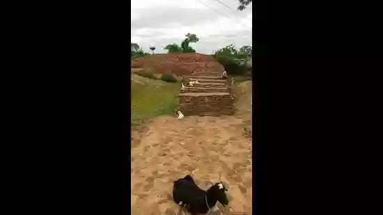 Search for early Mithila civilisation