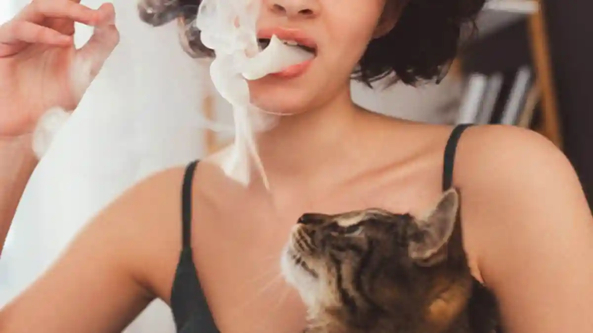 Secondhand Smoke And Kittens