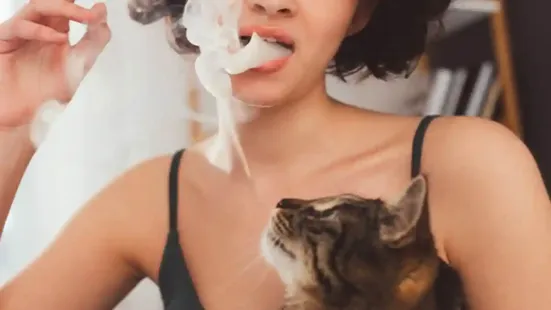 Secondhand and thirdhand smoke pose serious health risks to kittens, whose bodies are still developing and far more sensitive to environmental toxins than