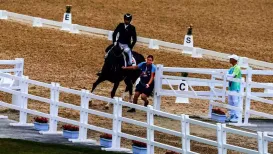Amid the international embarrassment after it emerged that the Equestrian Federation of India (EFI) has sent a rape-accused as coach for a competition in