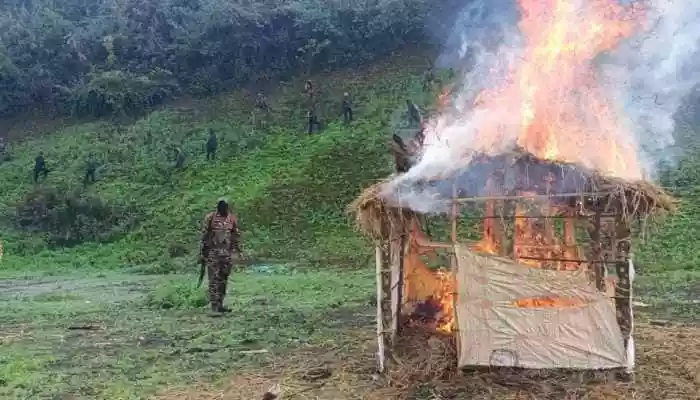 In a major anti-narcotics crackdown, Central and state security forces have destroyed more than 306 acres of illegal poppy cultivation in Manipur's mountainous