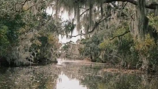 Serial killer rumors in Texas after 3 bodies found in Houston's Buffalo Bayou