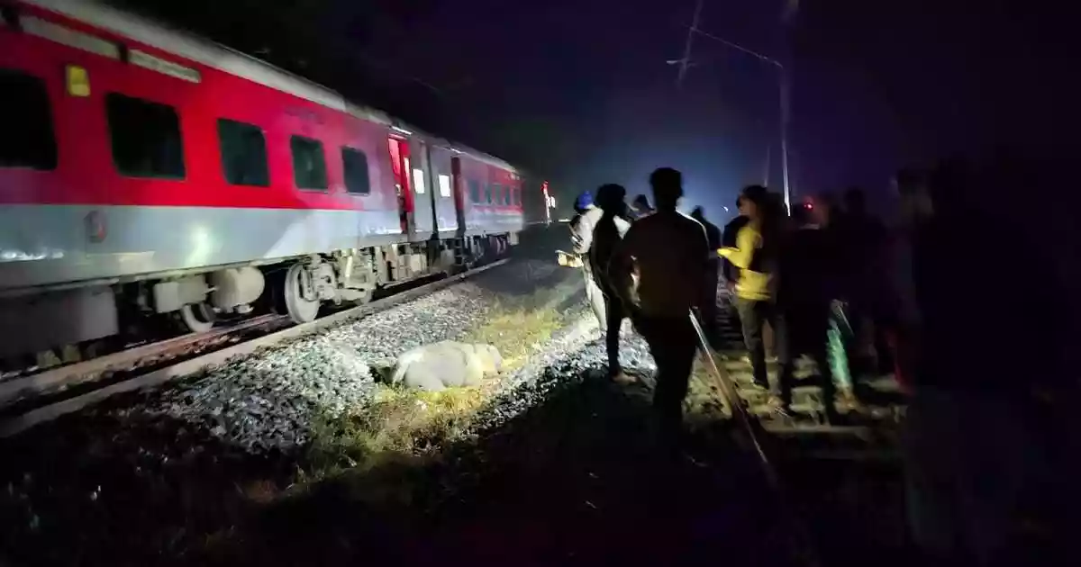 Seven elephants die after being hit by train