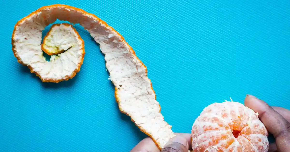 Every day, food scraps disappear into trash bags, are hauled away and forgotten. But that waste could be turned into something productive