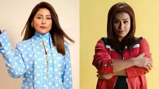 HomeNext<h4>Shilpa Shinde is a ‘smart player’ in Lock Upp, admits her Bigg Boss 11 rival Hina Khan: ‘Whether negative or