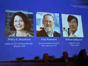 Shimon Sakaguchi, Mary E. Brunkow, and Fred Ramsdell received the 2025 Nobel Prize in Medicine for decoding peripheral immune tolerance. Sakaguchi discovered regulatory T cells, while Brunkow and Ramsdell identified the Foxp3 gene controlling them. Their groundbreaking work transformed immunology, offering new avenues for treating autoimmune disorders, cancer, and transplant rejection.Shimon Sakaguchi, Mary E. Brunkow, and Fred Ramsdell received the 2025 Nobel Prize in Medicine for decoding peripheral immune tolerance. Sakaguchi discovered regulatory T cells, while Brunkow and Ramsdell identified the Foxp3 gene controlling them. Their groundbreaking work transformed immunology, offering new avenues for treating autoimmune disorders, cancer, and transplant rejection.When the Nobel Assembly at Karolinska Institutet announced this year's winners of the Nobel Prize in Physiology or Medicine, it wasn't just recognising a single discovery. It was celebrating three scientists who, from different corners of the world, helped decode one of life's most delicate balancing acts, how the body's immune system knows when to attack and when to stand down.<br><br>Mary E. Brunkow, Fred Ramsdell, and Shimon Sakaguchi share the 2025 Nobel for “their discoveries concerning peripheral immune tolerance.” Their work, decades in the making, transformed how we understand the immune system's self-control, and offered a blueprint for new treatments for cancer, autoimmune disorders, and transplant rejection.<br><br><h4>Shimon Sakaguchi</h4>Back in 1995, a young immunologist in Japan dared to question what everyone else believed. At the time, scientists thought the immune system learned self-restraint in a single place, the thymus, where dangerous immune cells were eliminated in a process called central tolerance.<br><br><strong>Also Read: Nobel Prize 2025 in Medicine awarded to Mary E. Brunkow, Fred Ramsdell and Shimon Sakaguchi for discoveries in immune tolerance<br></strong><br>Shimon Sakaguchi wasn't convinced. Working at Kyoto University, he began tracing patterns others had overlooked. He found a small subset of T cells that seemed to suppress immune attacks rather than launch them. <br><br>Against conventional wisdom, Sakaguchi proposed that immune tolerance also existed beyond the thymus, a peripheral system of control that kept the body's defences from turning inward.<br><br>That discovery, published in 1995, introduced the world to regulatory T cells, or Tregs, th