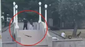 Several videos have emerged showing the horrific shooting that unfolded during Hanukkah celebrations at Sydney's Bondi Beach, capturing the final minutes of