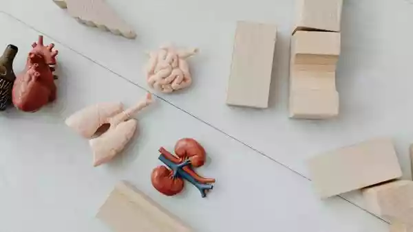 When it comes to kidney health, most people think about cutting back on certain foods - such as less salt, less packaged food, and less sugar