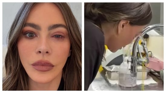 Sofia Vergara skipped the Emmy Awards Red Carpet this year because of a last-minute health emergency. The Modern Family star broke the news to her fans about her unfortunate absence in an Instagram post on September 15. She captioned, “Didnt make it to the Emmys but made it to the ER sorry I had to cancel! Craziest eye allergy right before getting in the car!”