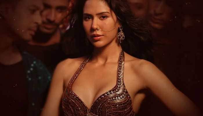 Sonam Bajwa is featured in the recently released song 