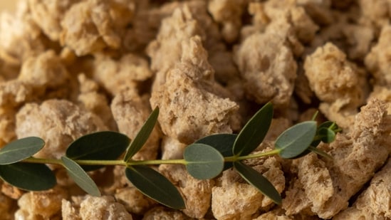 Soya chunks and soya chaap are a popular staple in many vegetarian Indian households, often consumed as affordable, protein-rich meat substitutes. Marketed as a high-protein snack, they're a go-to for those looking to boost their protein intake without turning to animal products. But despite their reputation, these soy-based foods may not be as healthy as they seem. In fact, experts warn that far from being a nutritional powerhouse, they could be doing more harm than good.