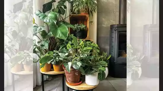 In more innocent times, the arrival of winter – signaled by that early-morning or late-night nip in the air – was something to be celebrated