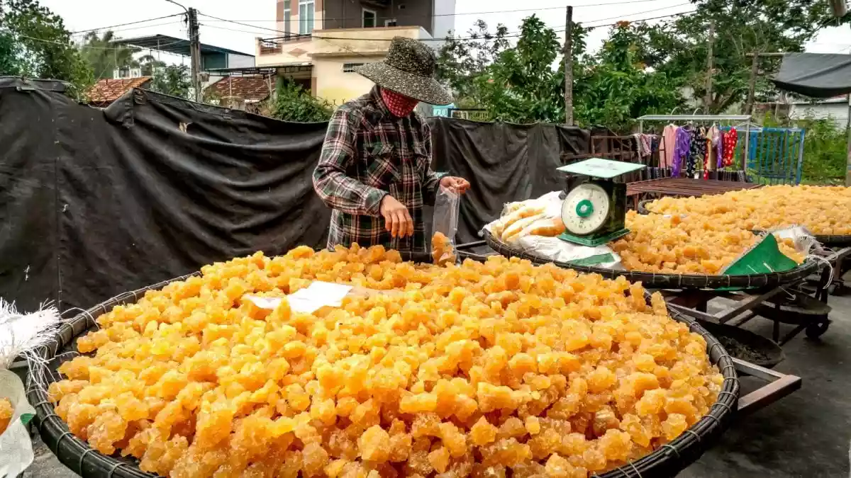 Jaggery, an unrefined sweetener, has started to find strong support among health-conscious consumers. Unlike processed sugar, it retains vital minerals and
