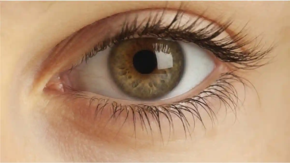 Summer brings longer days, outdoor activities, and holidays for students but it can also take a toll on your eyes. Common seasonal issues include dryness