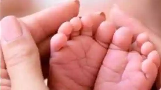 Supreme Court grants 12-week maternity leave to all adoptive mothers