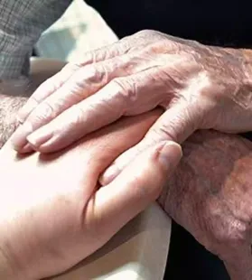 The Supreme Court on Wednesday (November 26, 2025) asked the Noida district hospital to constitute a primary board to explore passive euthanasia for a