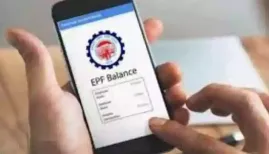Merging your EPF accounts ensures that your entire provident fund balance and service history are combined in your current active account
