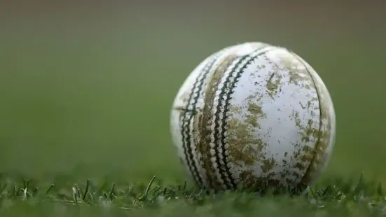 An Australian teenager has died after he was hit by a cricket ball during a practice session in Melbourne. Ben Austin, 17, was training in cricket nets in