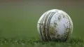 An Australian teenager has died after he was hit by a cricket ball during a practice session in Melbourne. Ben Austin, 17, was training in cricket nets in