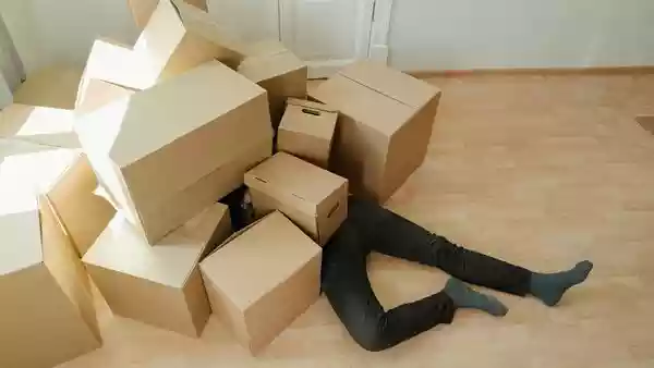 A Chinese teenager carried out a large-scale online refund fraud. He exploited a loophole in an e-commerce platform's return system. The 17-year-old