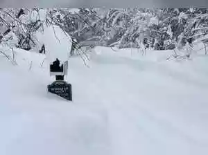 Ten skiers missing in California avalanche