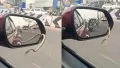 In a shocking video, a snake was seen slithering out of a car's side mirror, leaving viewers terrified and the internet buzzing with disbelief