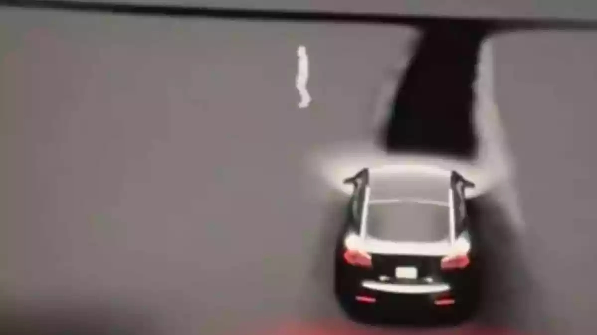 Tesla Owners Shocked As Screens Show ‘Ghostly’ Human-Like Creatures