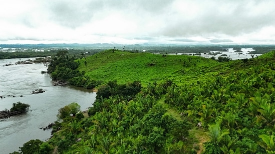 THE AMAZON rainforest is so big that it makes its own climate. As they photosynthesise and transpire, its billions of trees collectively produce enough moisture to form clouds. These, by some estimates, are responsible for at least a third of the rainforest's life-sustaining rainfall. But climate change is disrupting this circular process. The build-up of greenhouse gases in the atmosphere has raised regional temperatures, worsened droughts and increased the risk of fires. All kill trees.