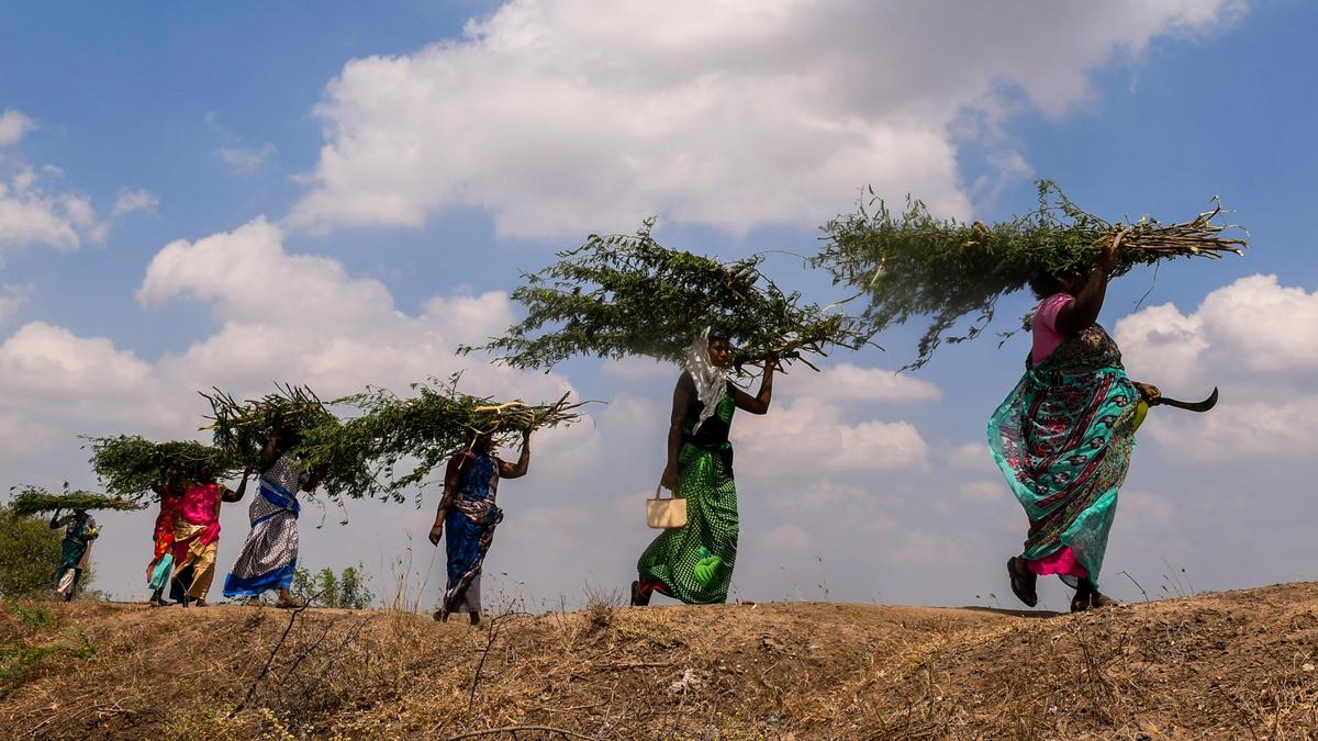 On August 21, a three-judge Supreme Court Bench led by the Chief Justice of India dismissed a petition and sought a fresh one in a case on minimum wages in