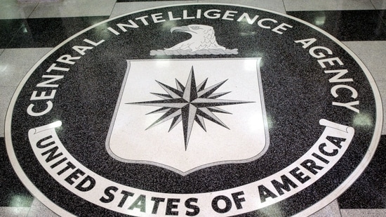 The CIA officer had worked in American intelligence for more than 20 years. In 2016, as the country's top intelligence officer for Russia and Eurasia, she oversaw the production of a report, which described how Russia had meddled in that year's presidential election in favour of Donald Trump. A few years later she returned to the agency as a senior manager, overseeing the cia's operations and analysis relating to Russia and the former Soviet Union.