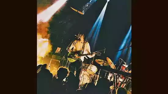 The controlled chaos of Geese