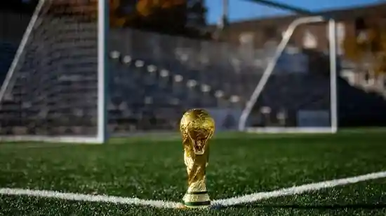 HomeNext<h4>The economics of the World Cup</h4><h4>Going to the games showed me that no one can put the feeling of the sporting event into a