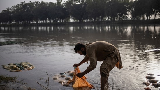 The extreme conditions are part of an ongoing heatwave which is likely to persist until June 13. A severe heatwave has gripped Pakistan's Punjab province, with temperatures soaring up to 50 degrees Celsius in some districts, the Pakistan Meteorological Department (PMD) said on Wednesday.