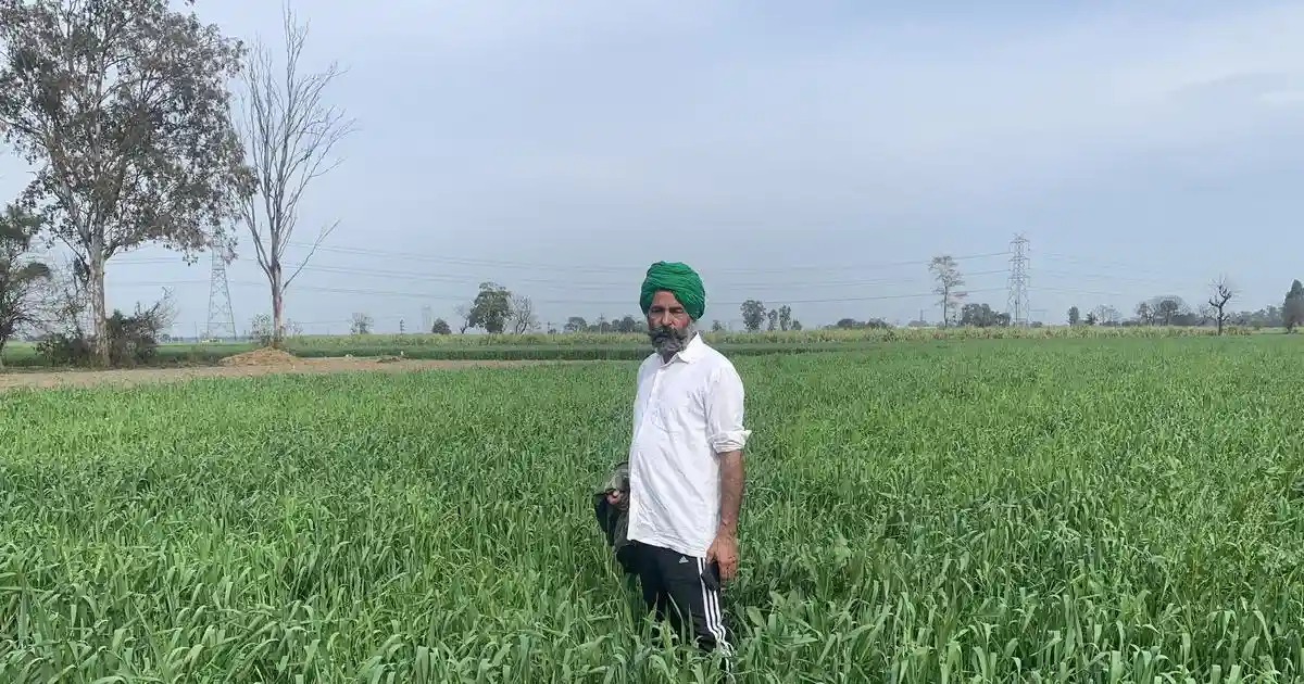 The farmers preparing for the day Punjab runs out of water