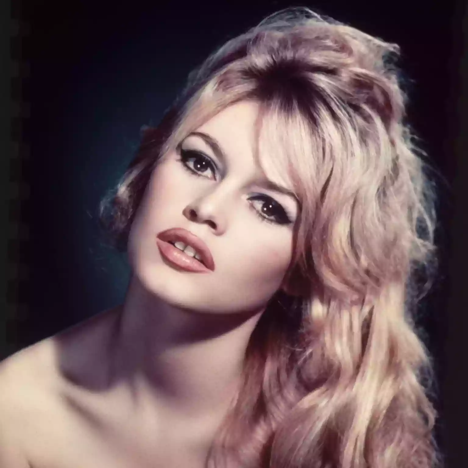 The life and career of Brigitte Bardot