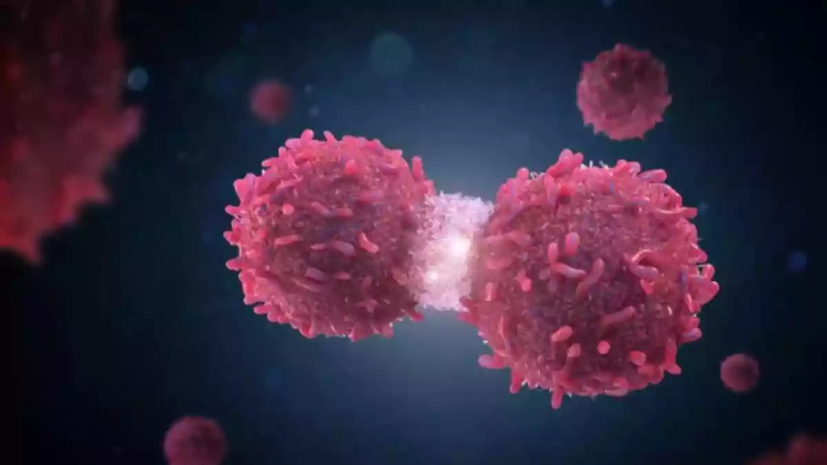 In modern times, cancer treatment is not only about sustaining life but also about ensuring its quality. Advances in medical technology have introduced less