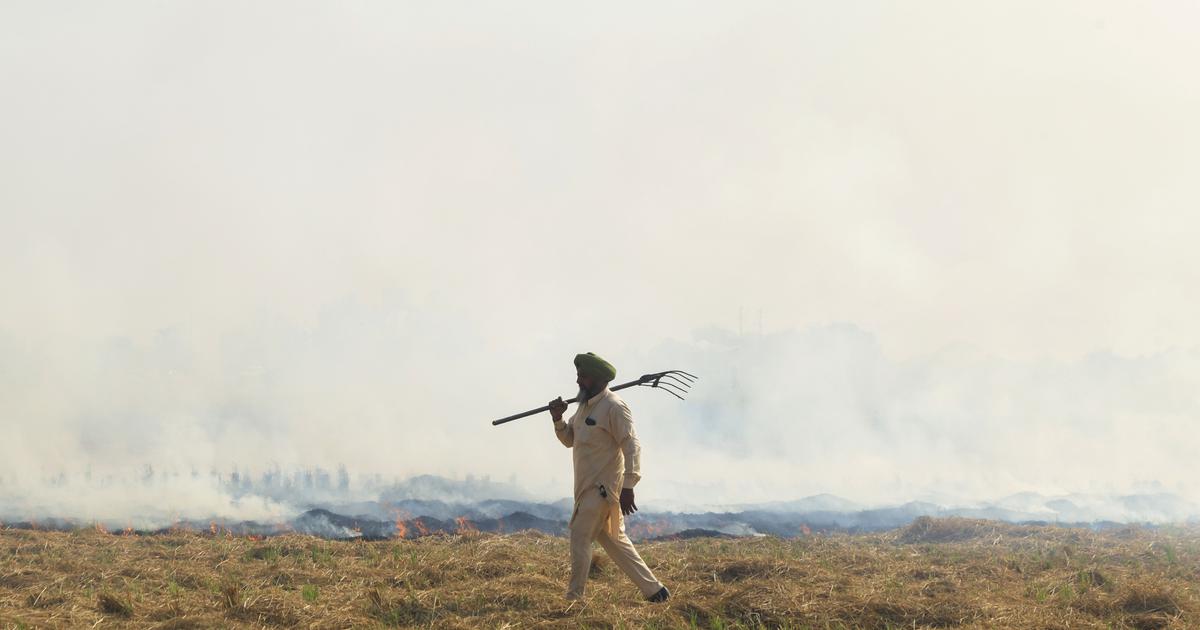 The Punjab Police has registered 12 first information reports against farmers for stubble burning since September 18, the Hindustan Times reported on Sunday. The state has reported 48 cases of crop residue burning since monitoring began on September 15, according to data from the Punjab Pollution Control Board. Of the 12 FIRs, 11 were filed in Amritsar.