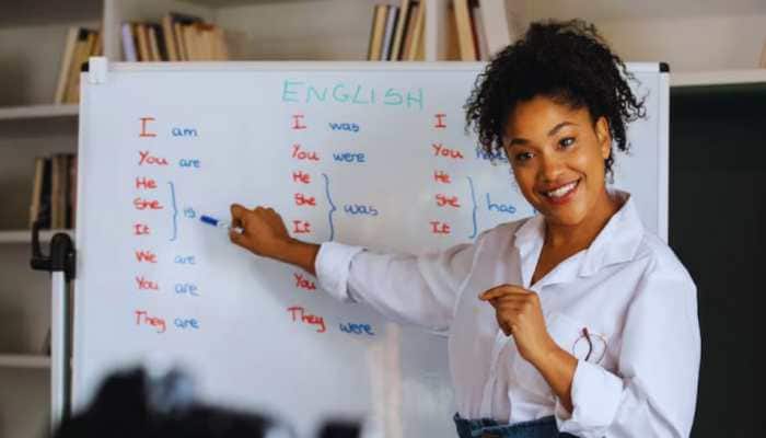 The Rajasthan Public Service Commission (RPSC) has officially started accepting applications for the recruitment of Senior Teachers in the state's Secondary Education Department. Application process wil begin from tomorrow. Scroll down to check more details.