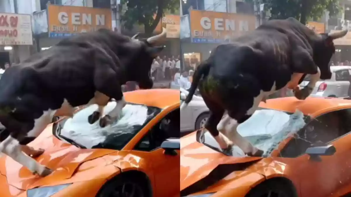 The rise of generative AI has led to a surge of hyper-realistic yet fake videos on social media. One such clip currently going viral shows a couple of bulls damaging a Lamborghini in India. While the visuals look convincing enough to fool many, the footage has been generated using AI.The rise of generative AI has led to a surge of hyper-realistic yet fake videos on social media. One such clip currently going viral shows a couple of bulls damaging a Lamborghini in India. While the visuals look convincing enough to fool many, the footage has been generated using AI.The video, posted on the Instagram account AI Filmmaker(@aikalaakari), shows a sleek Lamborghini parked on a road when two powerful bulls suddenly charge towards it. They cause significant damage to the windshield, bonnet, and even the roof as one of the bulls leaps over the vehicle. The video's realism has left many viewers wondering if it's real or AI-generated.A post shared by AI Filmmaker (@aikalaakari)The clip has sparked widespread attention online with users sharing a mix of reactions in the comment section. One user said, “AI is getting out of hand. You're saying that windscreen was strong enough to take the weight of the bull.
