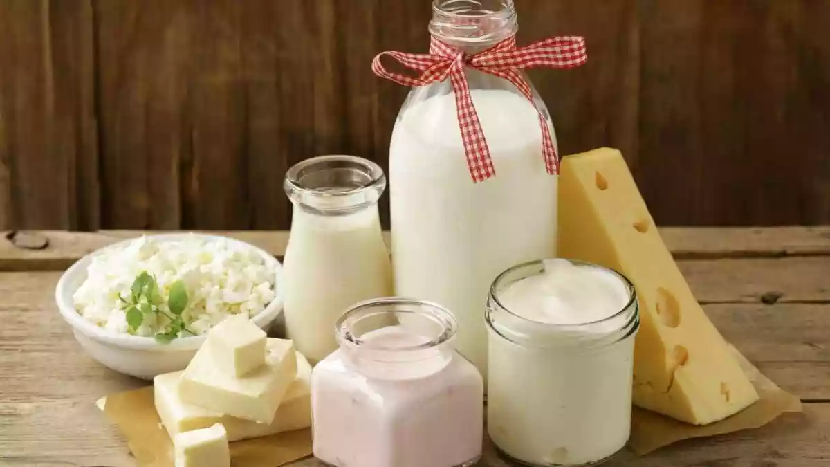 Milk has long held a sacred place in Indian households, poured into morning chai, set into curd, churned into ghee, and woven deeply into everyday life